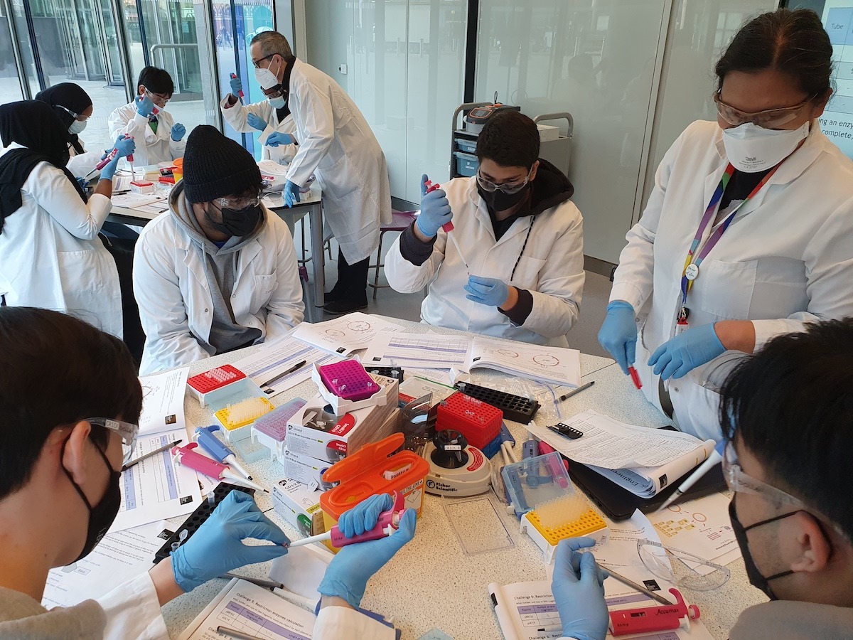 Haverstock Sixth Form Biology A Level students complete their practical work in the Crick Institute labs.