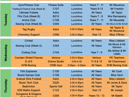Co-curricular Posters Summer 2024