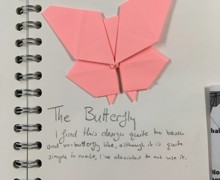 Mirain brown origami butterflies 6